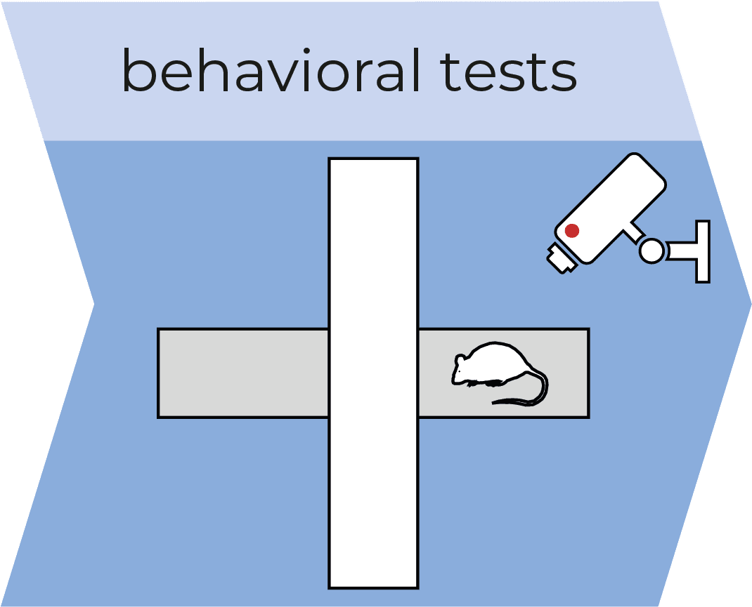 Behavioral-tests19 behavioral tests
