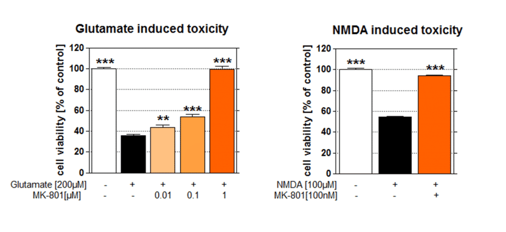 excitotoxicity-figure_Glutamate-and-NMDA-induced-toxicity-1024x469 excitotoxicity-figure_Glutamate-and-NMDA-induced-toxicity