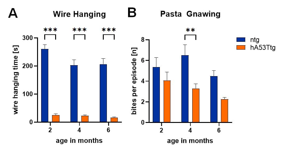 Figure-2 pasta gnawing