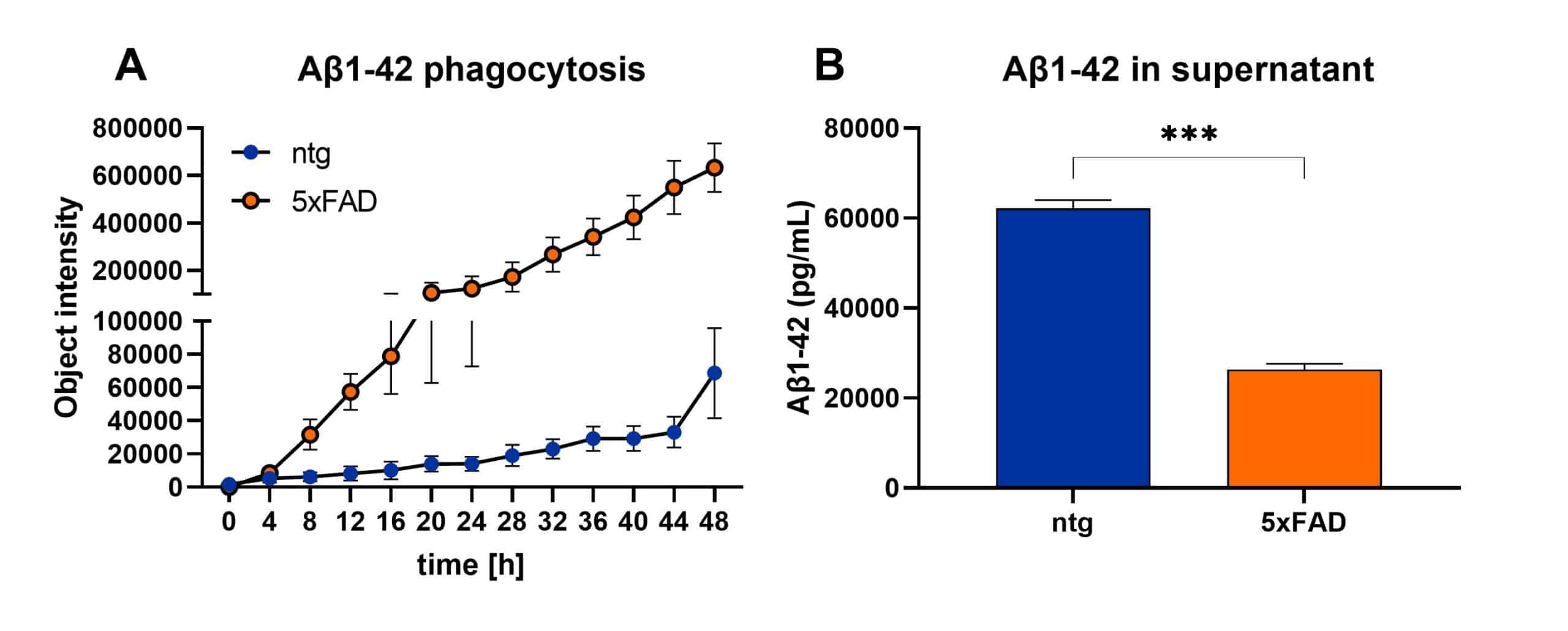 Figure 1- Phagocytosis Figure 1- Phagocytosis