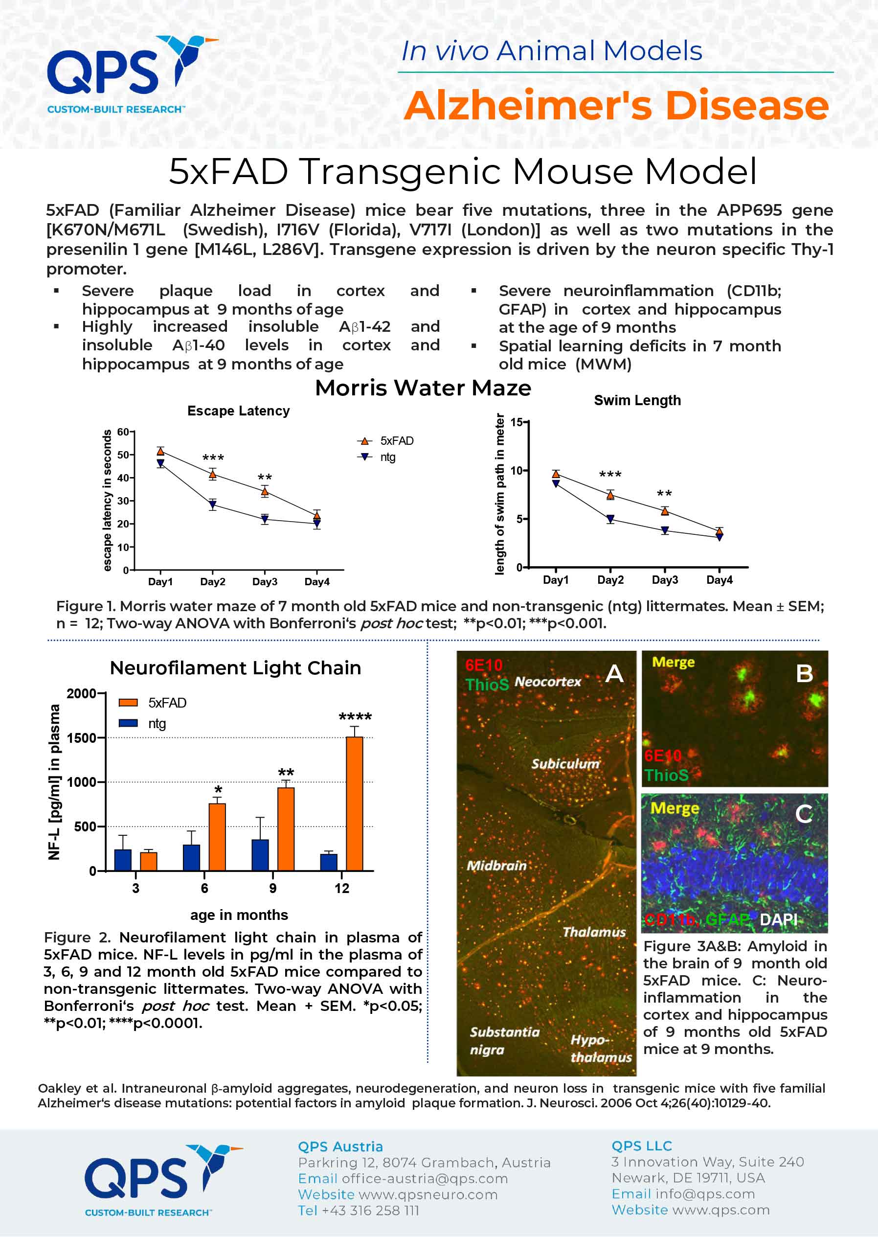 AD 5xFAD and APPSL